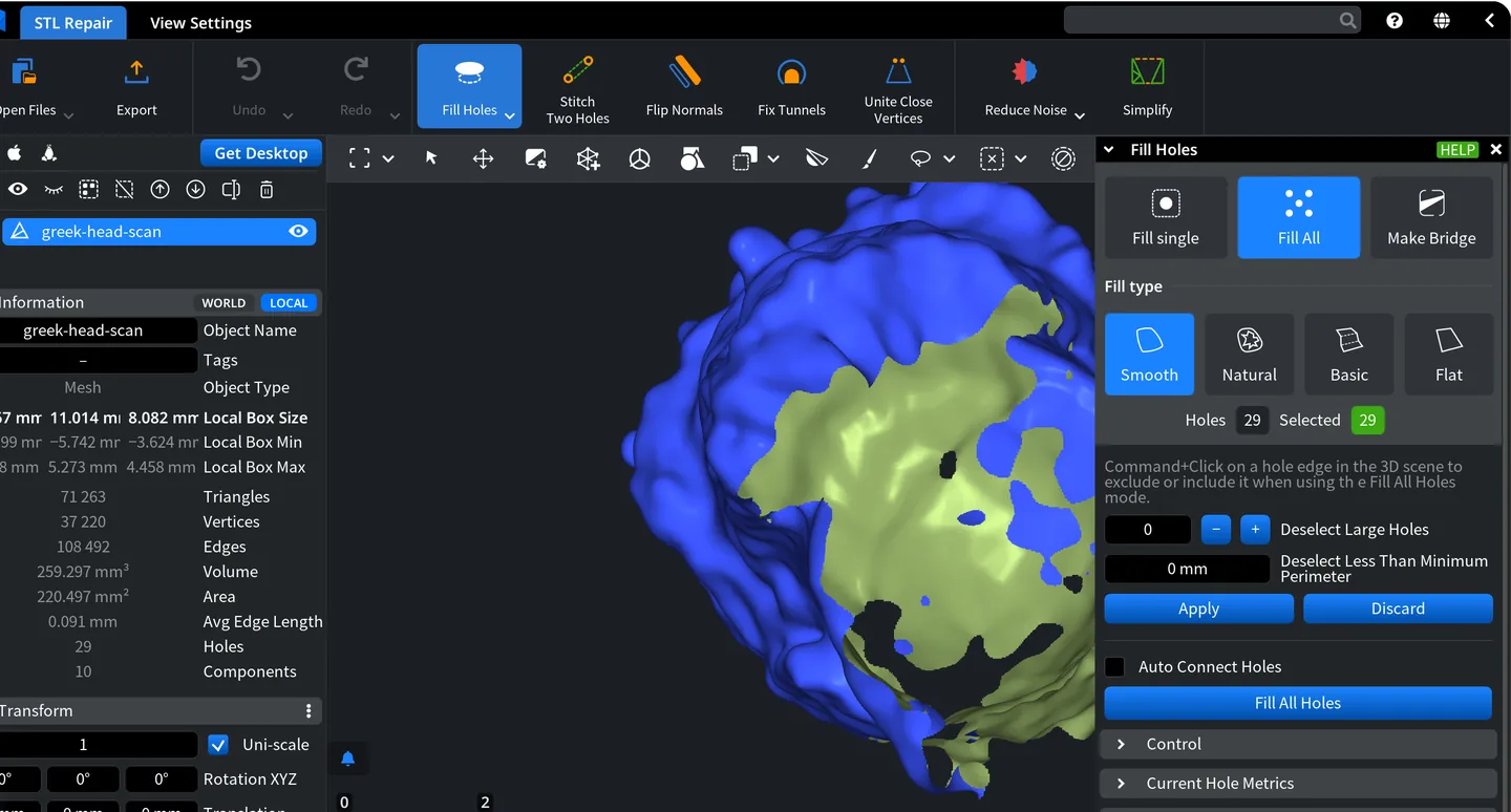 MeshInspector Fill Holes tool in Fill All mode on a scanned head saved as STL: 29 holes found and selected, and the inside of the model shows through the largest one.