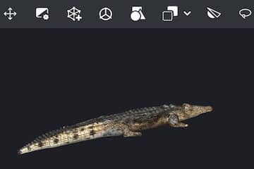 Textured crocodile model displayed in the viewport.