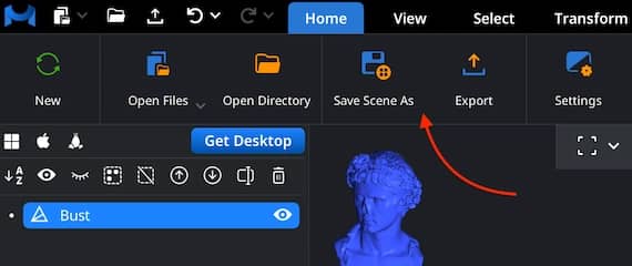 Save Scene As control in the Home toolbar.