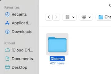 File picker with the DICOM folder selected.