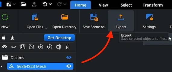 Selected scene object and export controls in the Home toolbar.