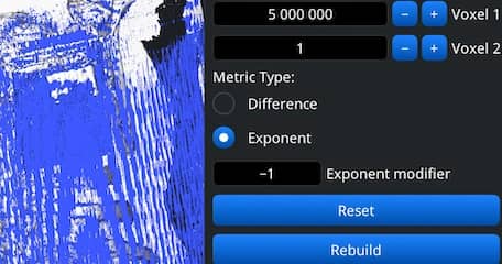 Voxels Path panel with metric and exponent controls.