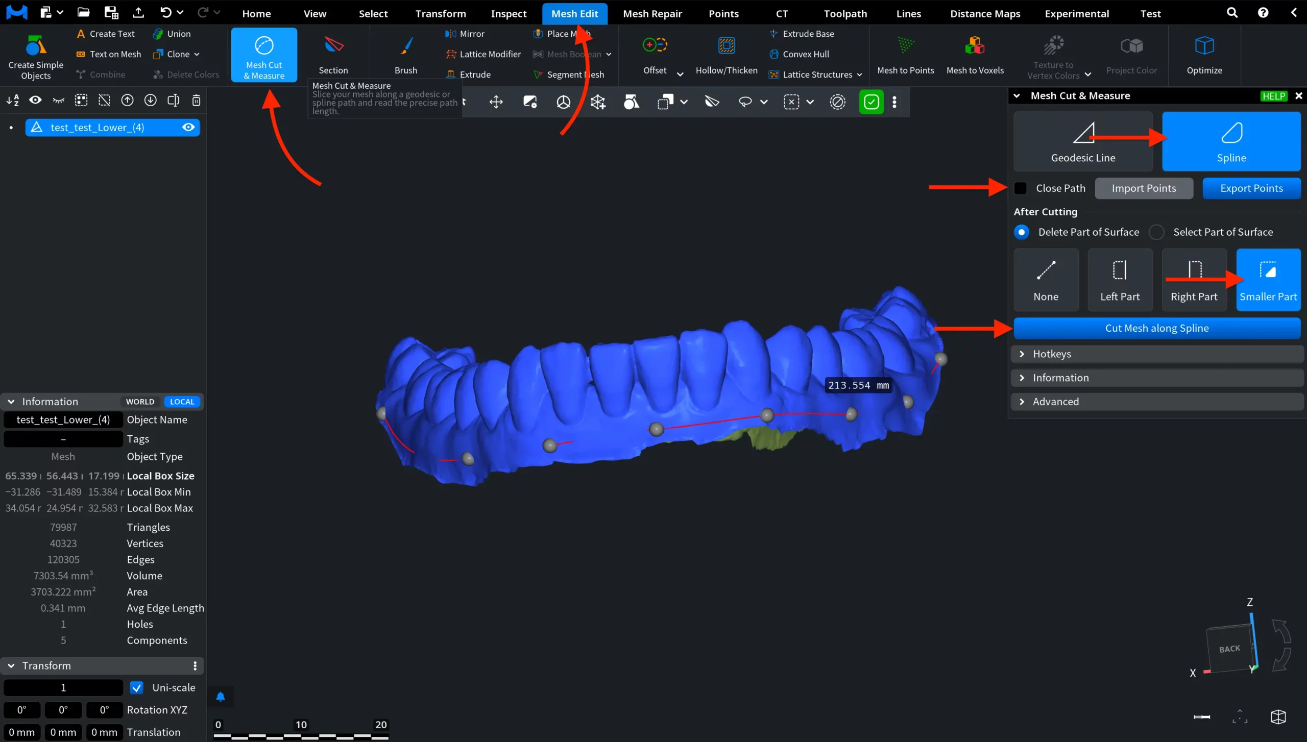Using Mesh Cut & Measure in Spline Mode
