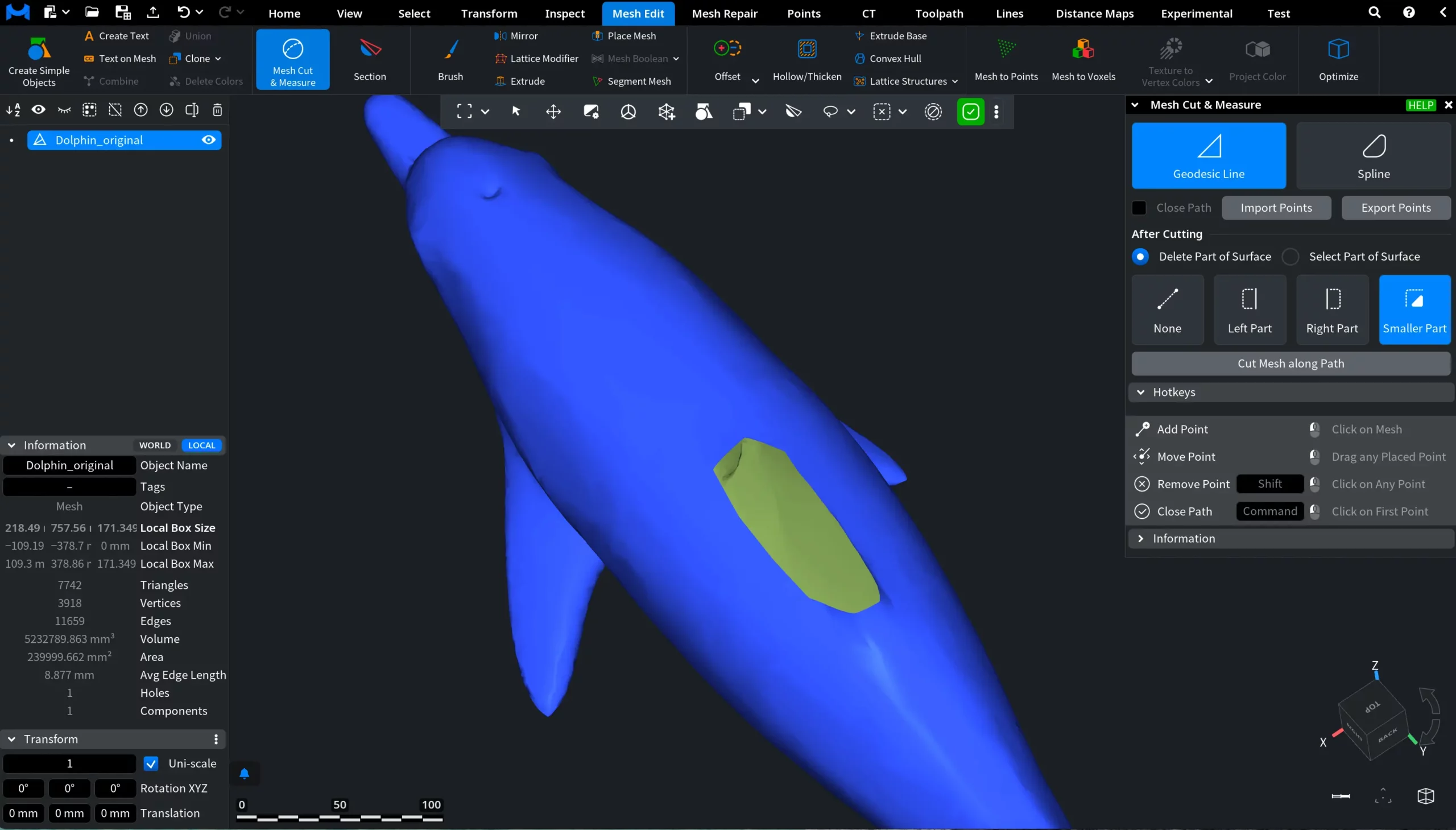Geodesic Line: Smaller Part Removed