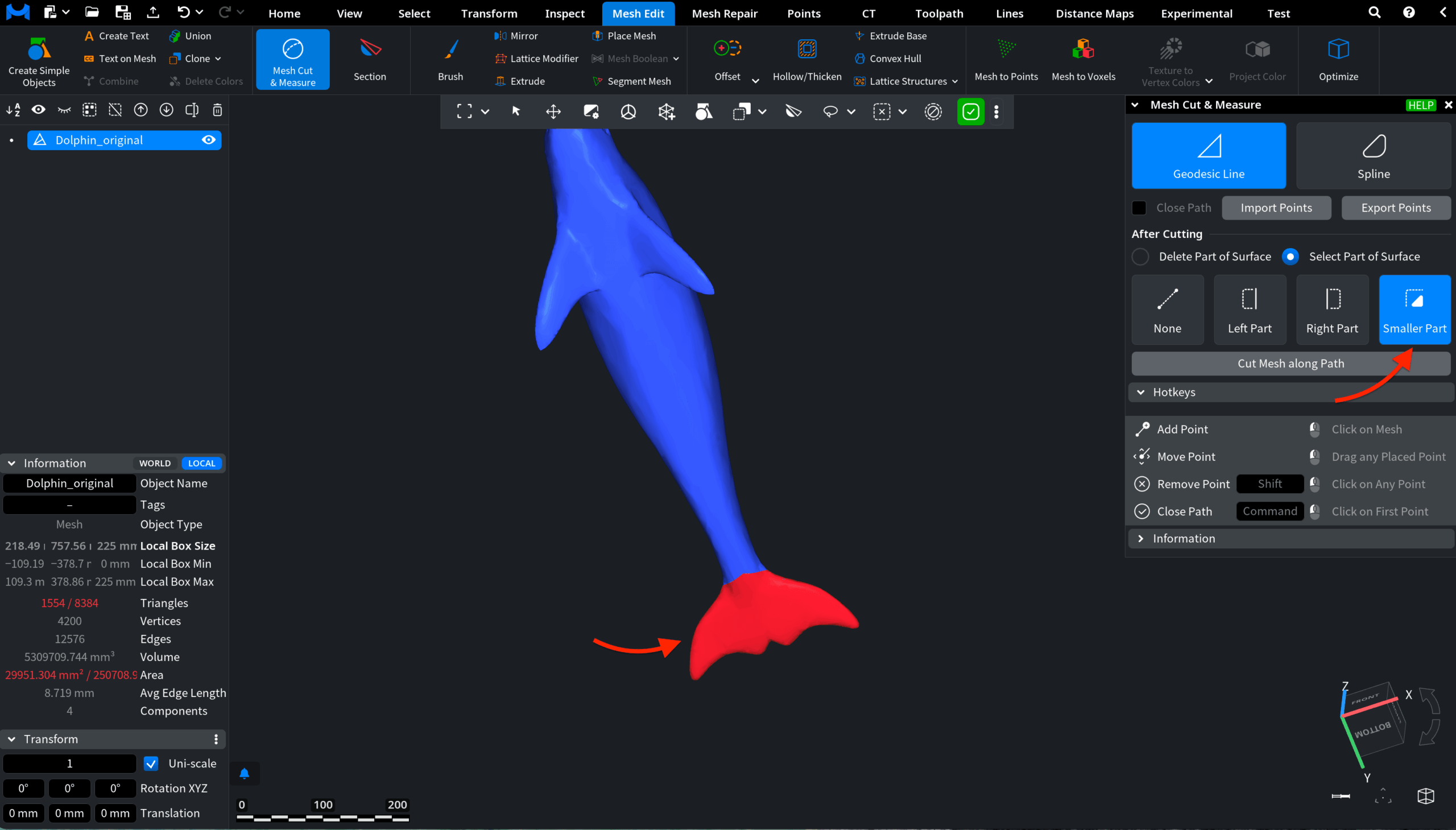 Geodesic Line: Smaller Part Selected