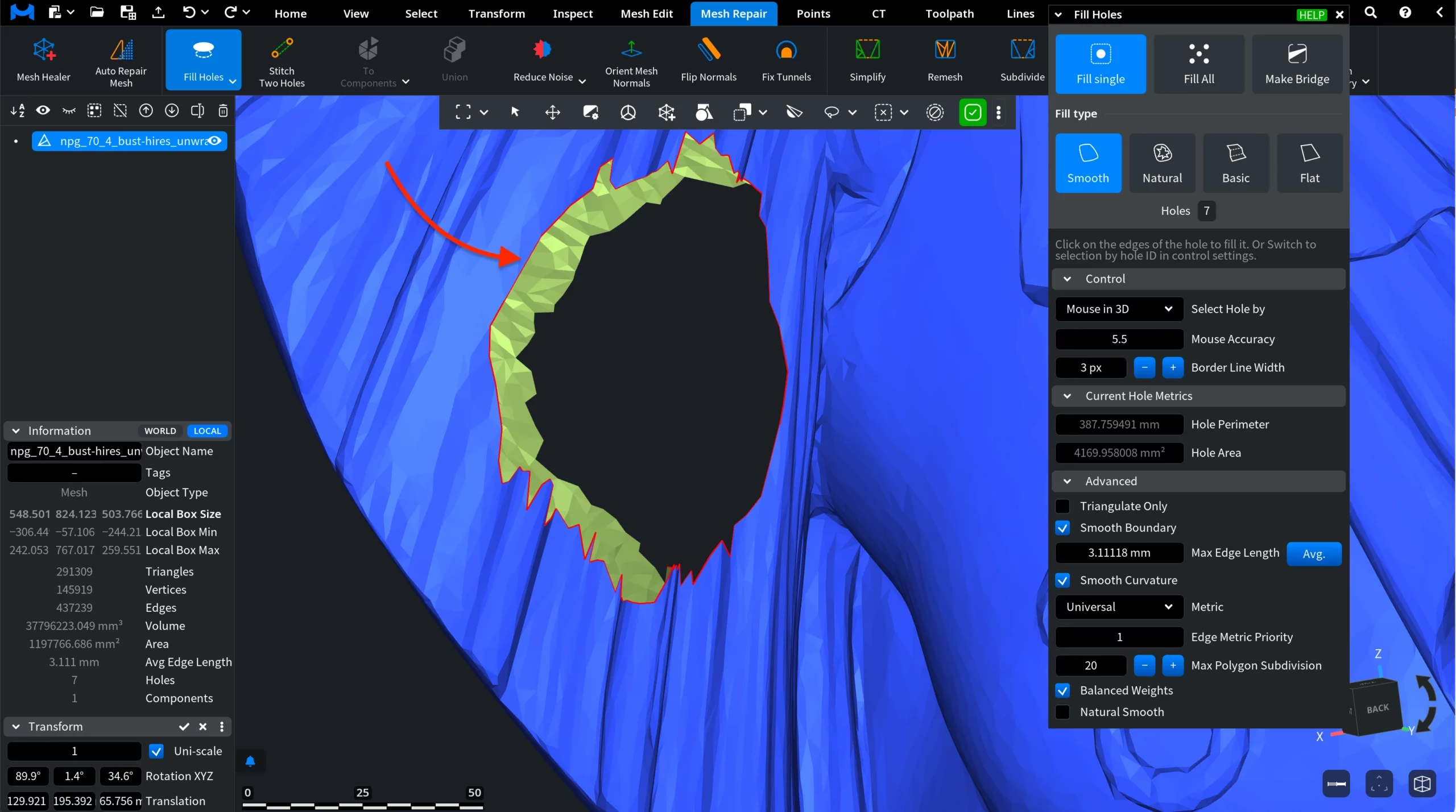 Fill Holes: Mouse in 3D
