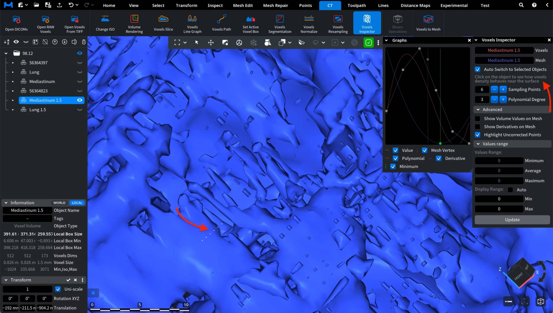 Voxels Inspector: Zoomed In On
