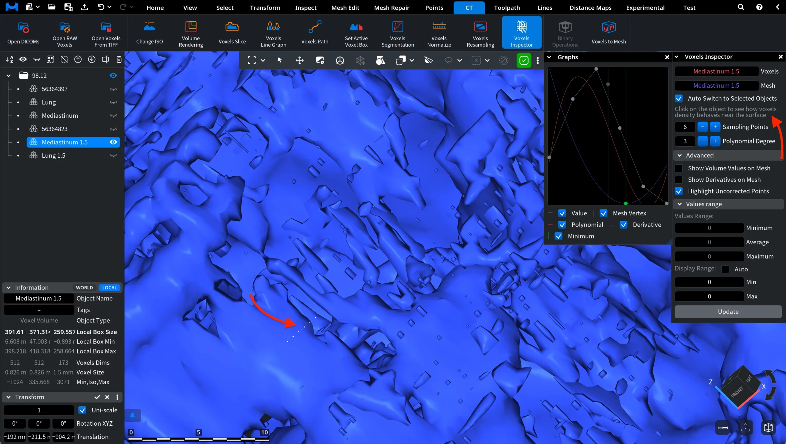 Voxels Inspector: Zoomed In On