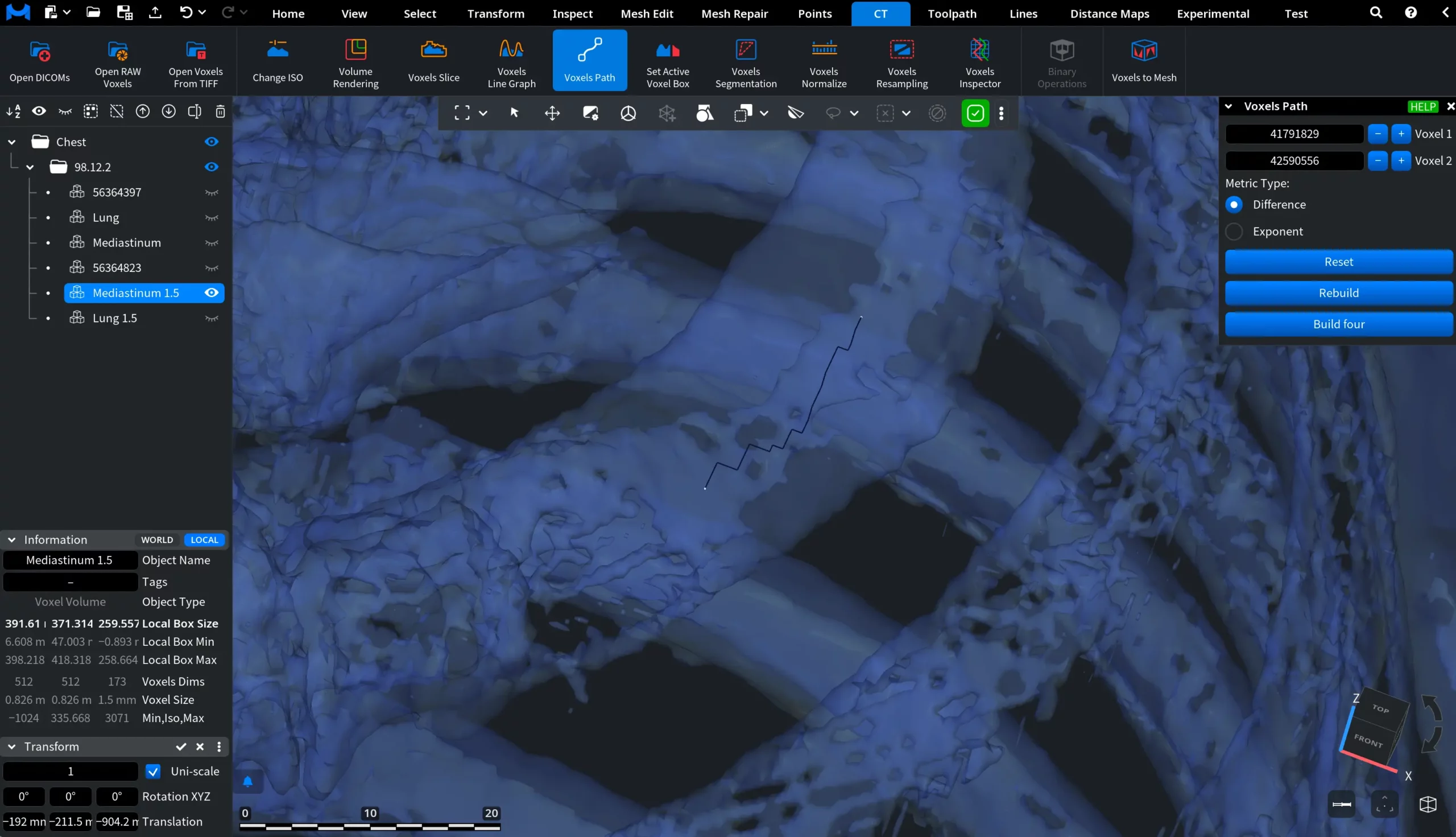 Voxels Path: Default 