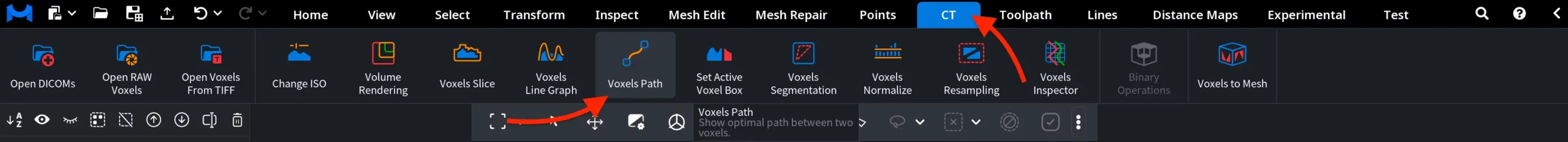 Voxels Path: Where to Find