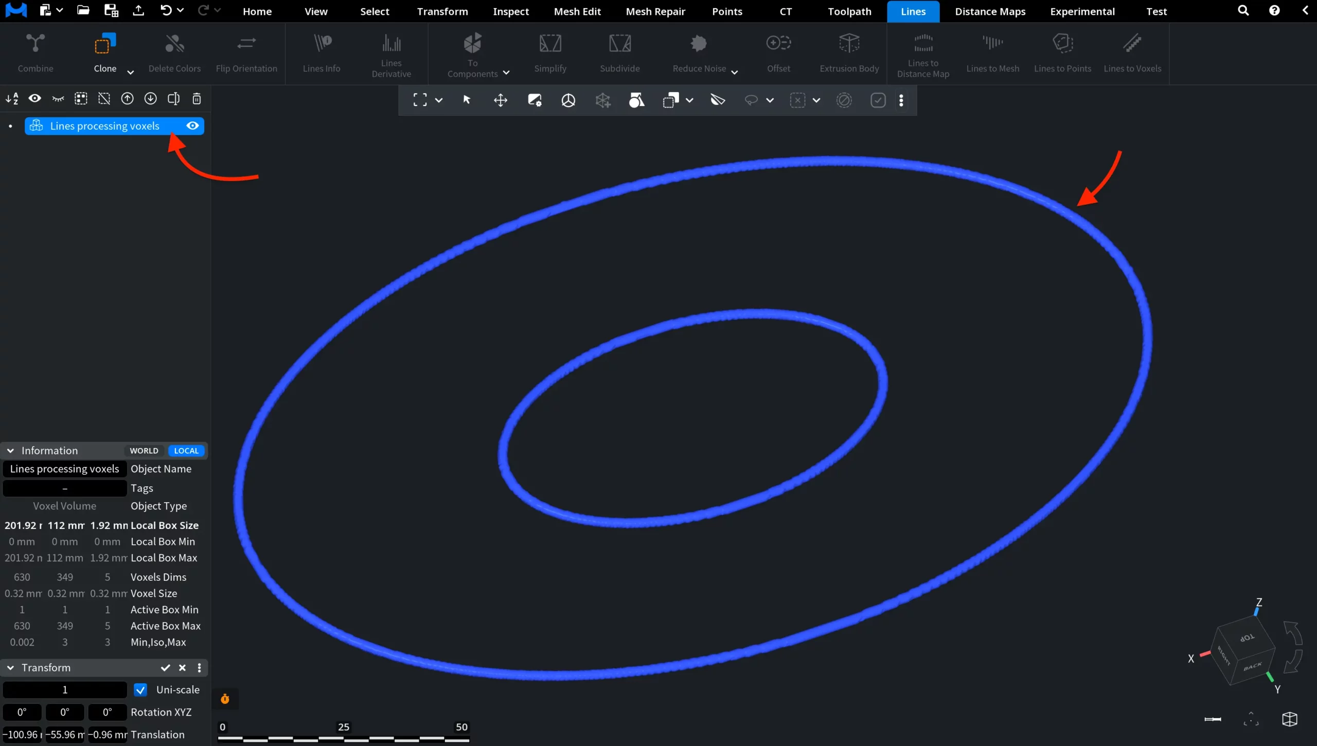 Lines to Voxels: Result