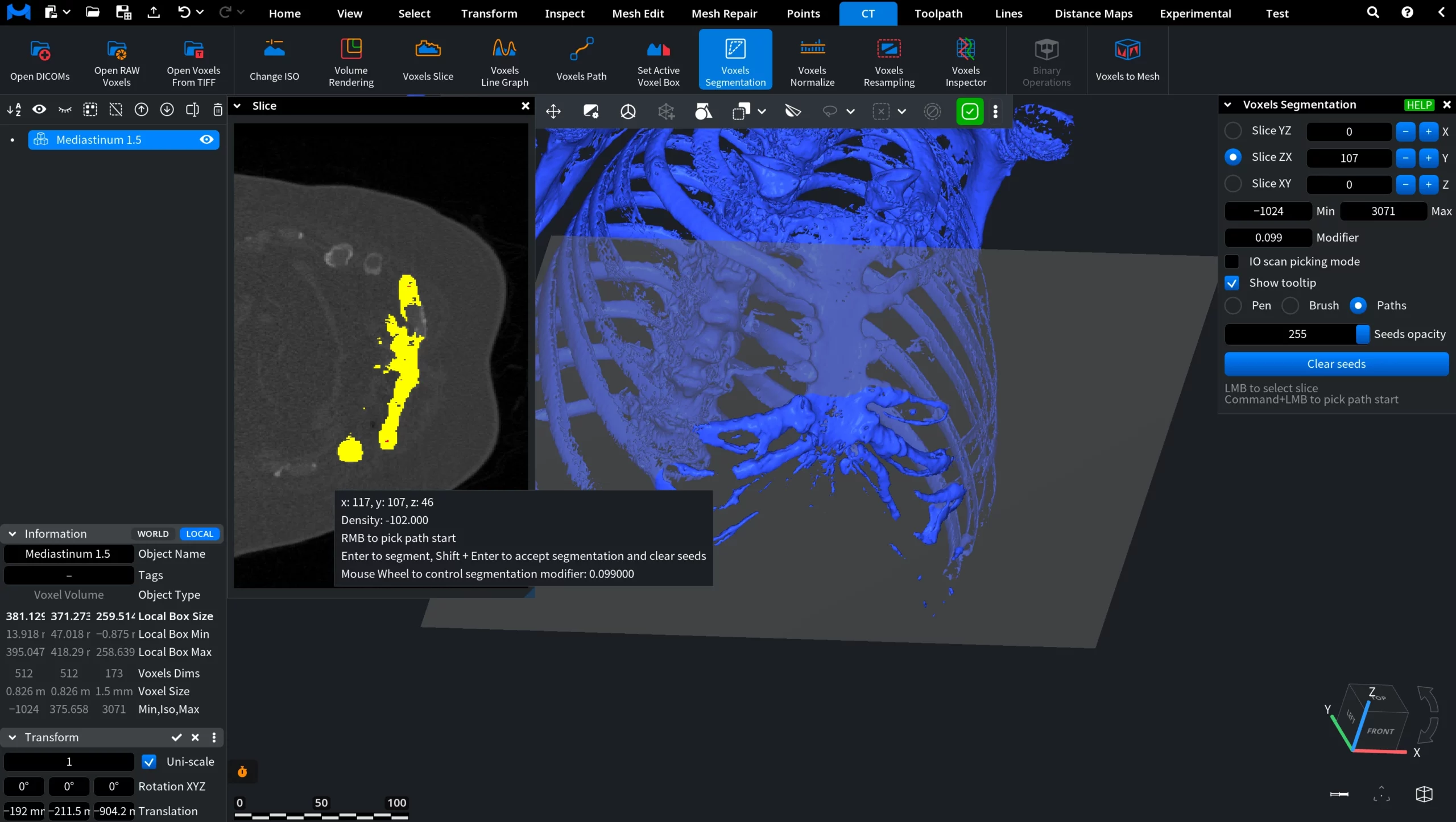 Voxels Segmentation: Path